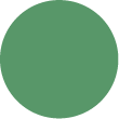 Icon 8